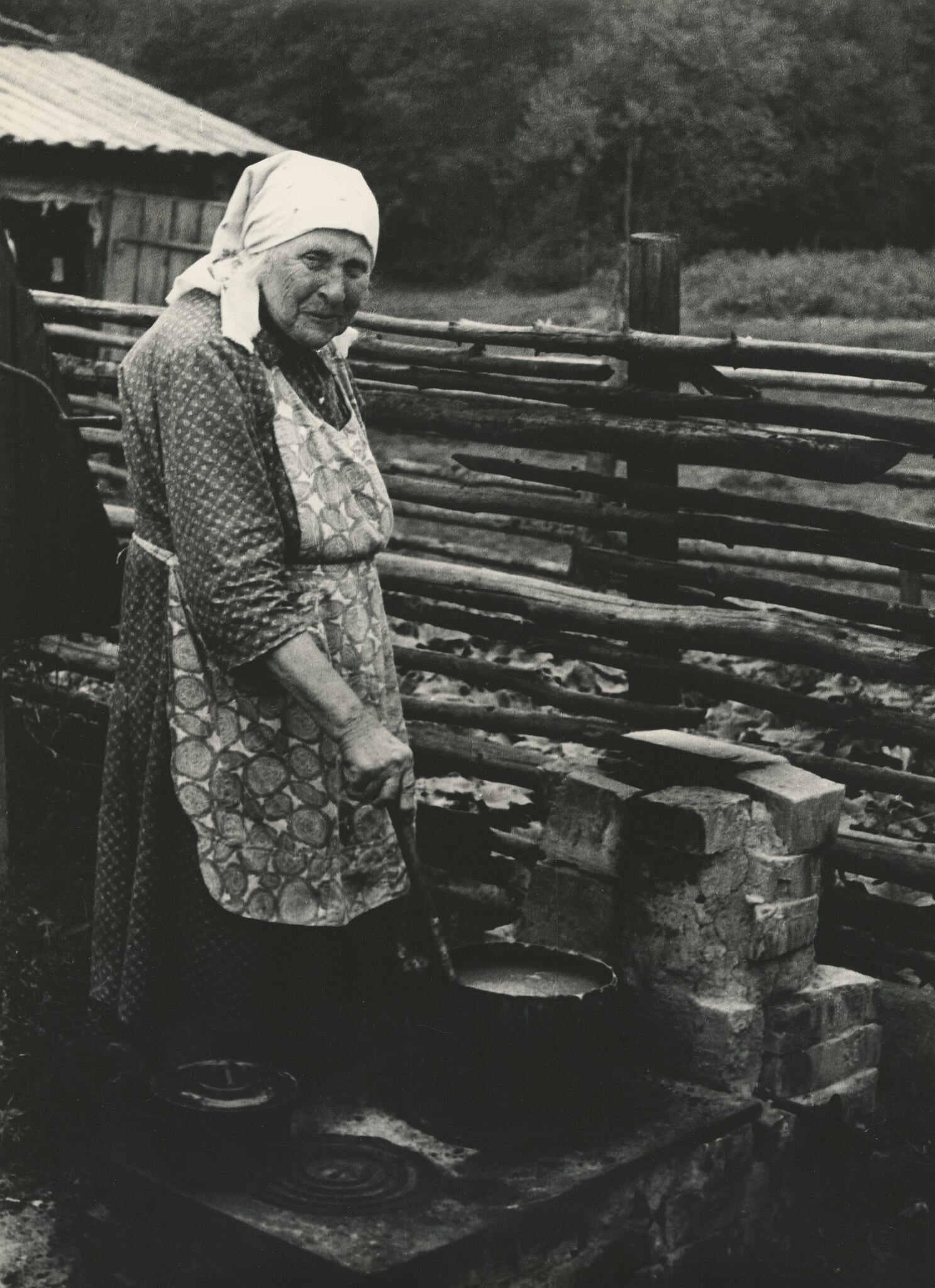 Žolininkė Janė. Lynežeris. Dubičių apyl.